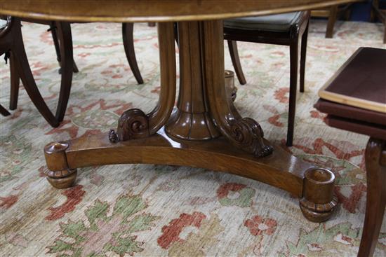 An early Victorian birds eye maple and rosewood crossbanded circular tilt top table, W.4ft 1in.